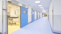 動(dòng)物細(xì)胞培養(yǎng)實(shí)驗(yàn)室設(shè)計(jì)方案